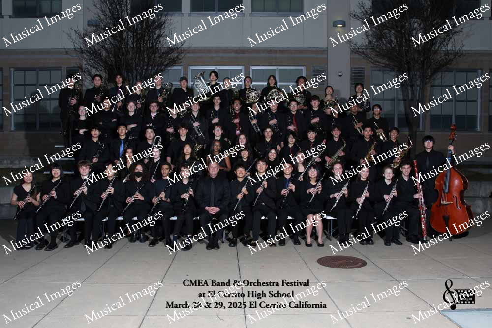 Musical Images